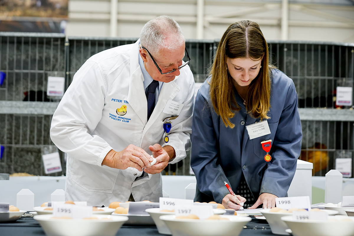 two volunteers judging eggs at the easter show