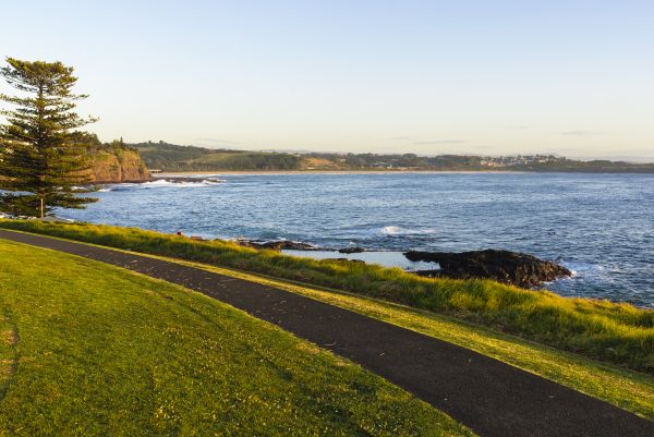 A grass section and path beside the ocean. There is a pine tree to the left and the coastline continues in the background
