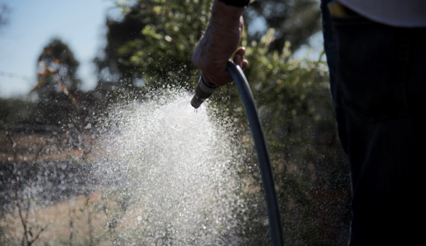 Watering the garden with garden hose Watering the garden with garden hose